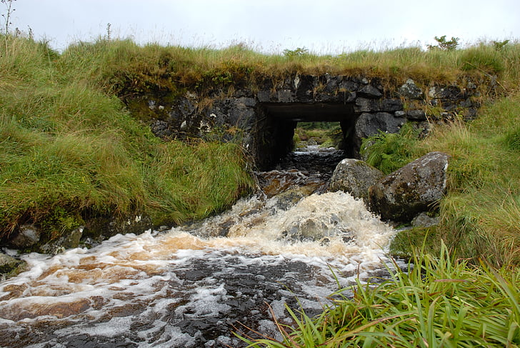 Irlanda, ponte de pedra, água, natureza