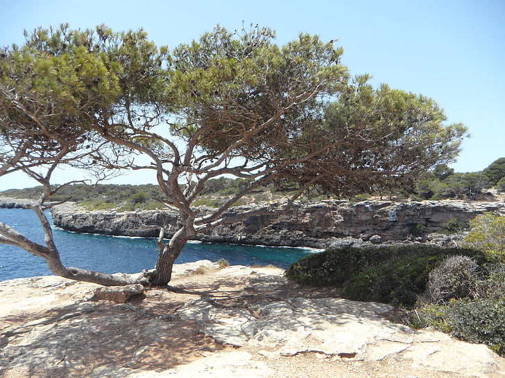 mediterrán, tenger, tengerpart, sziklás part, sziklás, Mallorca, természet