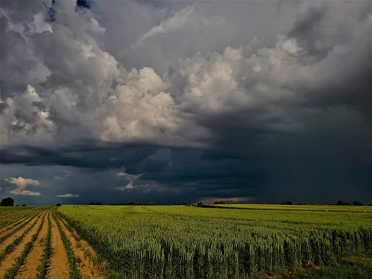 paysage, météo, avant la tempête, Summertime, nature, Agriculture, scène rurale