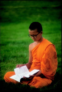 Budist, bilgi edinin, WAT, Phra dhammakaya, Tapınak, dhammakaya pagoda, Buda