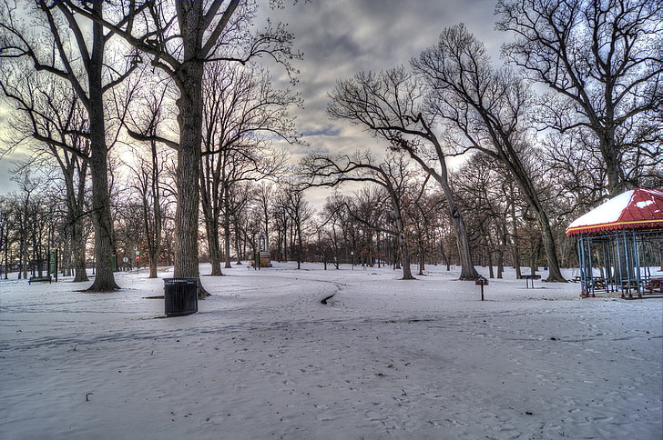 Parque de Druid hill, Baltimore, Maryland, Parque, árboles, nieve