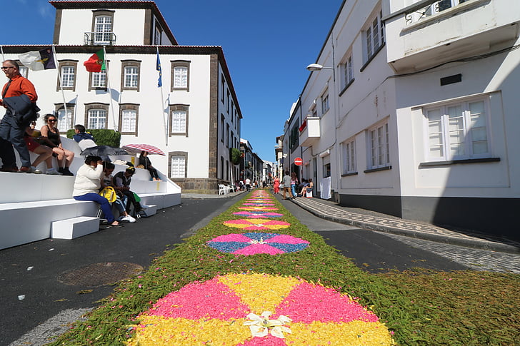 festivāls, Azoru salas, ziedi, Ponta delgada, parāde, Portugāle, salas
