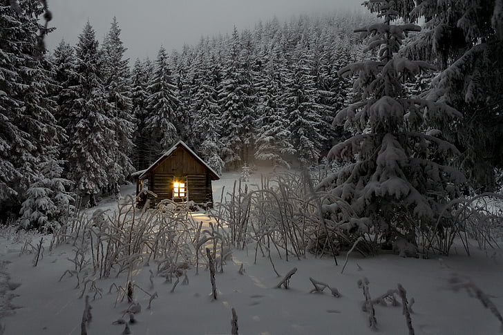bruin, houten, huis, berg, sneeuw, winter, hout