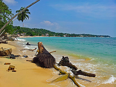 Unawatuna, Srí lanka, pláž, písek, křišťálově čisté, voda, svátek