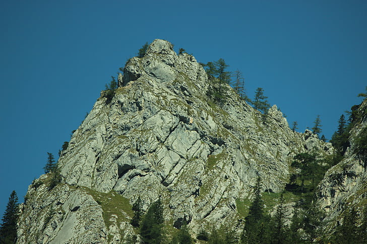 Rock, Hora, Les, alpské, Příroda, obloha, krajina