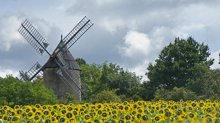 mill, sunflower, landscape