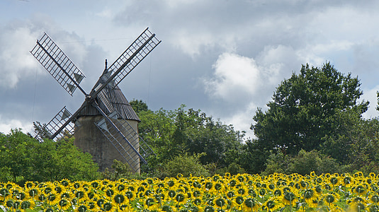 Mill, bunga matahari, pemandangan