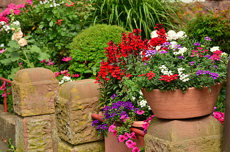 sommerblomster, balkong planter, blomsterpotte, vegg, planting, hage, fargerik floral prakt
