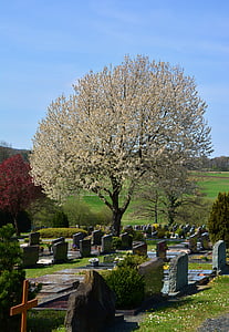 kyrkogården, gravar, kyrkogården kultur, grav vård, tombstone, resten, senast lugna