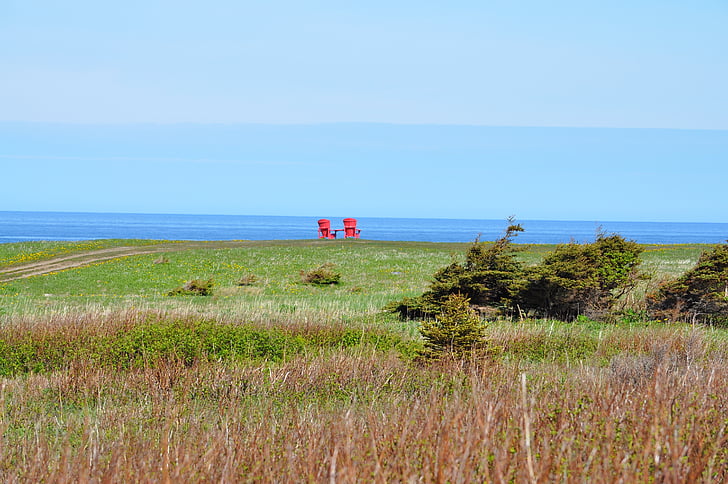stoelen, rood, buiten, Newfoundland, Canada, Vista, zee