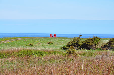 cadeiras, vermelho, ao ar livre, Terra Nova, Canadá, vista, mar