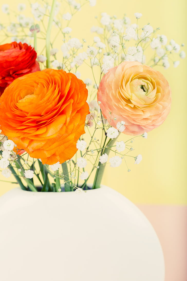 ranunculus, bunga, Blossom, mekar, musim semi, karangan bunga, vas bunga