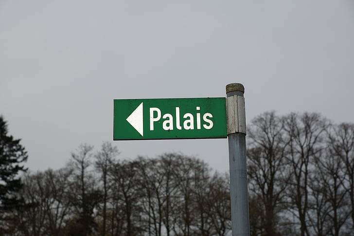 Director, Palais, Palatul, scut