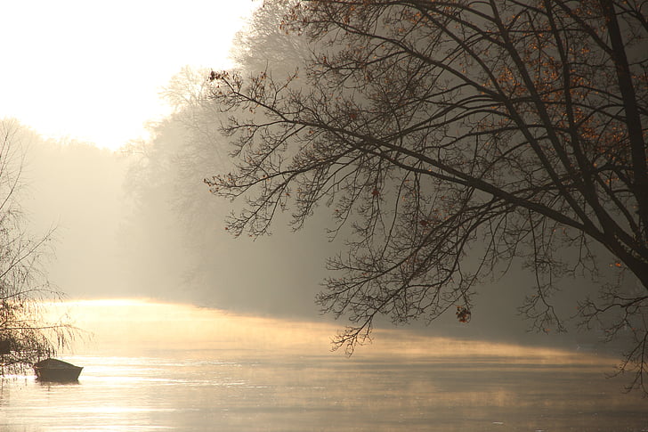 Река, туман, дерево, Восход, Природа, настроение, Зеркальное отображение