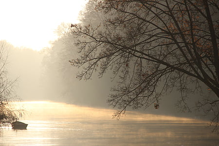 river, fog, tree, sunrise, nature, mood, mirroring