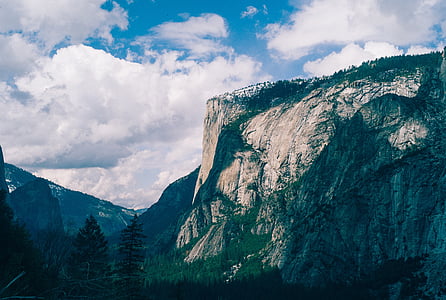 Yosemite, Parc, nature, national, Californie, voyage, Forest