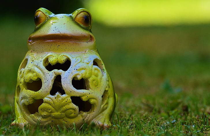 grenouille, Meadow, drôle, mignon, Solar