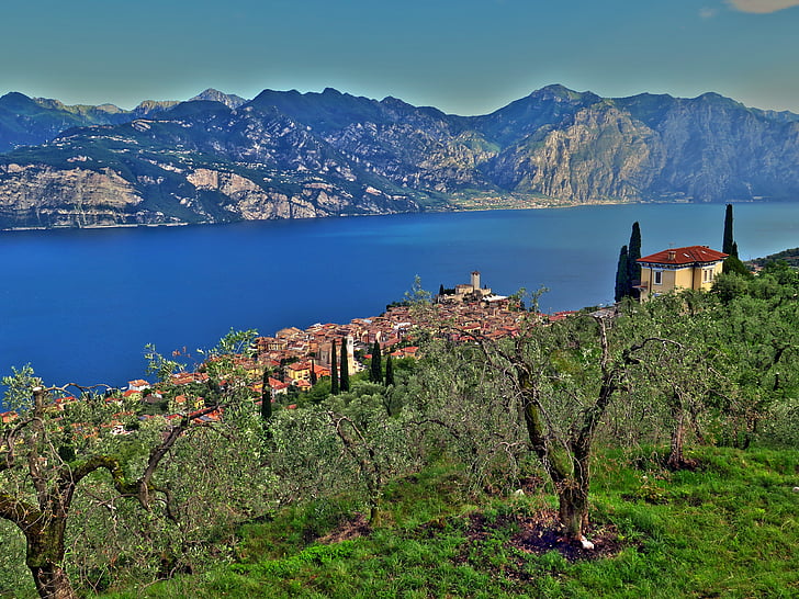 Malcesine, Lago di Garda, hory, olivovníky, Panorama, jezero, Itálie