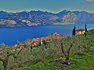 malcesine, Garda, kalni, olīvu kokiem, Panorama, ezers, Itālija