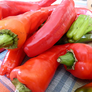 paprika, pepperoni, rød, grøn, grøntsager, mad, vegetabilsk