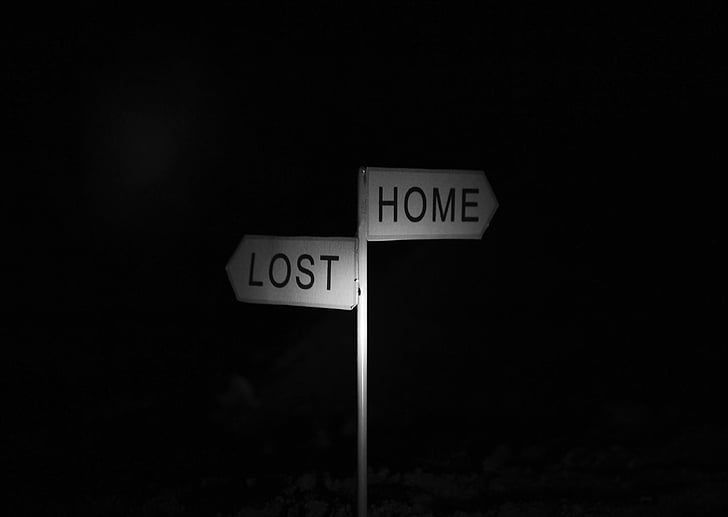 papan, pilihan, rumah atau hilang, rumah, hilang, jalan, petualangan