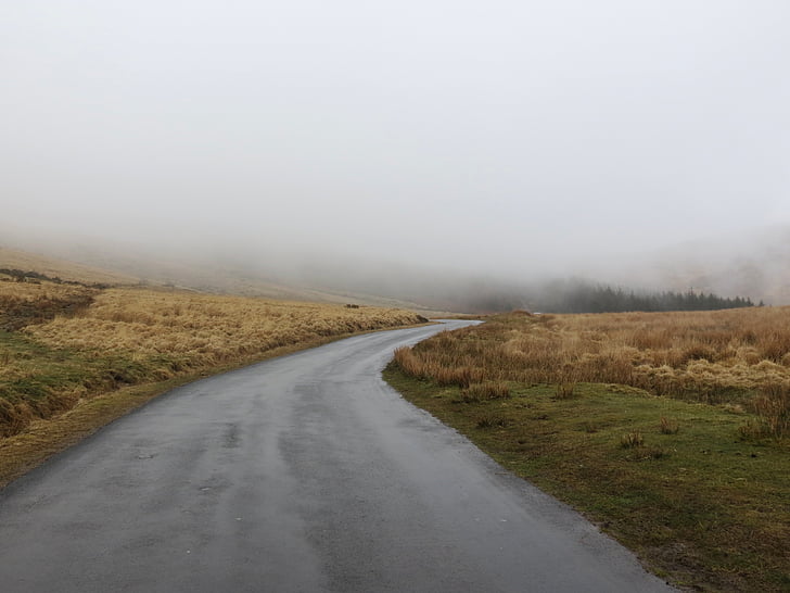 landscape, photography, road, middle, brown, field, fog