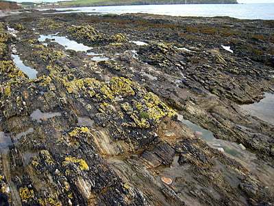 βράχια, στη θάλασσα, φυσικό, νερό, φύση, ακτογραμμή