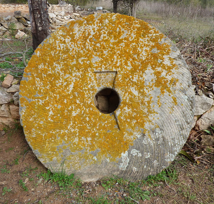 mill wheel, volandera, granite, lichen, oil mill