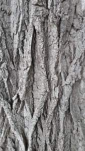 bark, tree, log, structure, nature, forest, pattern