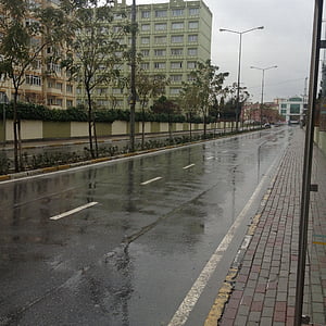 chuva, estrada, chuveiros, molhado, rua, cena urbana