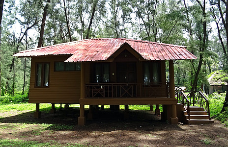 Cottage, holday Trang chủ, túp lều, gỗ, rừng, Lodge, giải trí