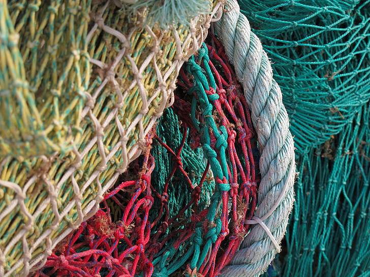fiskeri net, netværk, fiskeri