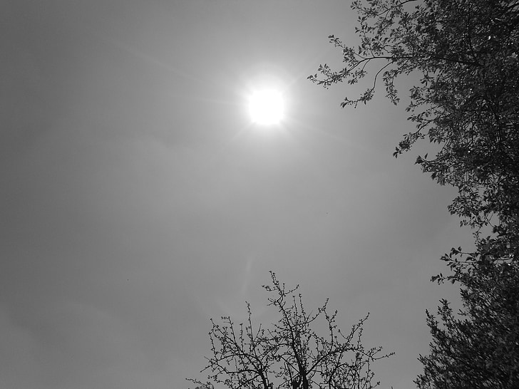 Sunce, crno-bijela snimka, zrake, nebo