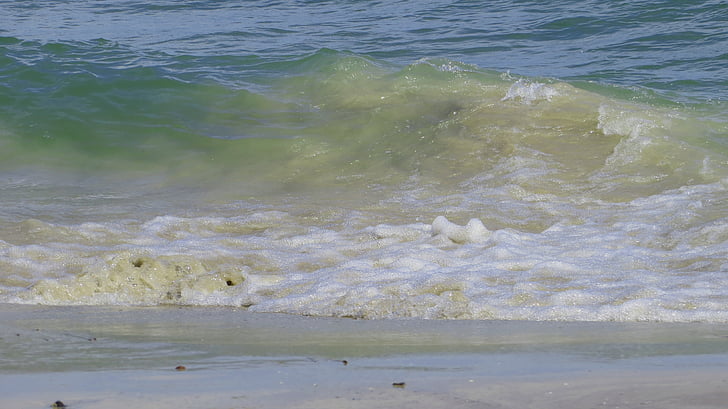 Plaża, wody, małże, kamienie, Wybrzeże, Morza Bałtyckiego, fala