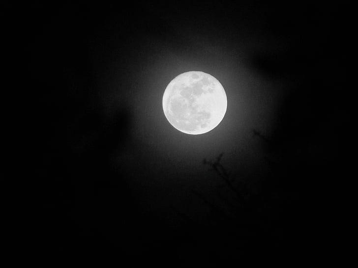 luna, cer, noapte, natura, lumina lunii, silueta, lunar