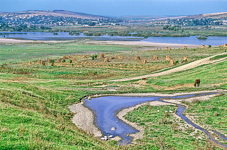 moldova, landscape, scenic, stream, water, horse, river