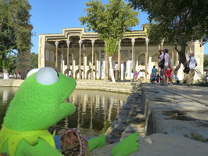 hauz de bolo, Mezquita de, columnar, Kermit, rana, talla de madera verde, Cuenca de agua