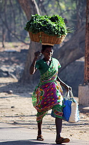 indian, vegetables, seller, street, carry, head, basket