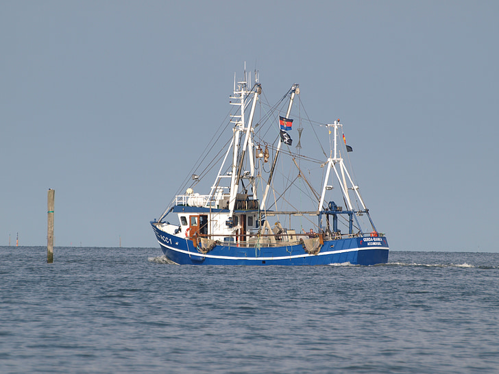 bateau de pêche, crevettes, mer du Nord, Cutter, navire, Frise de l’Orient