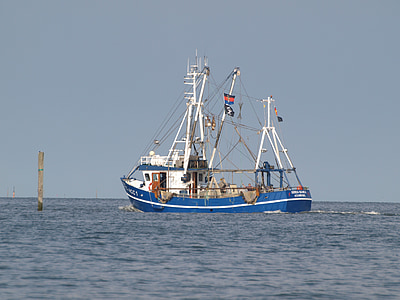 vaixell pesquer, gambes, Mar del nord, tallador, vaixell, Frísia Oriental
