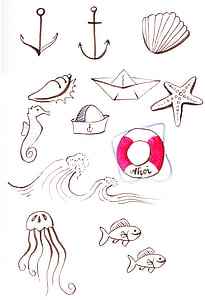 conjunt d'icones, marítim, Mar, dibuix, àncora, closca, estrella de mar