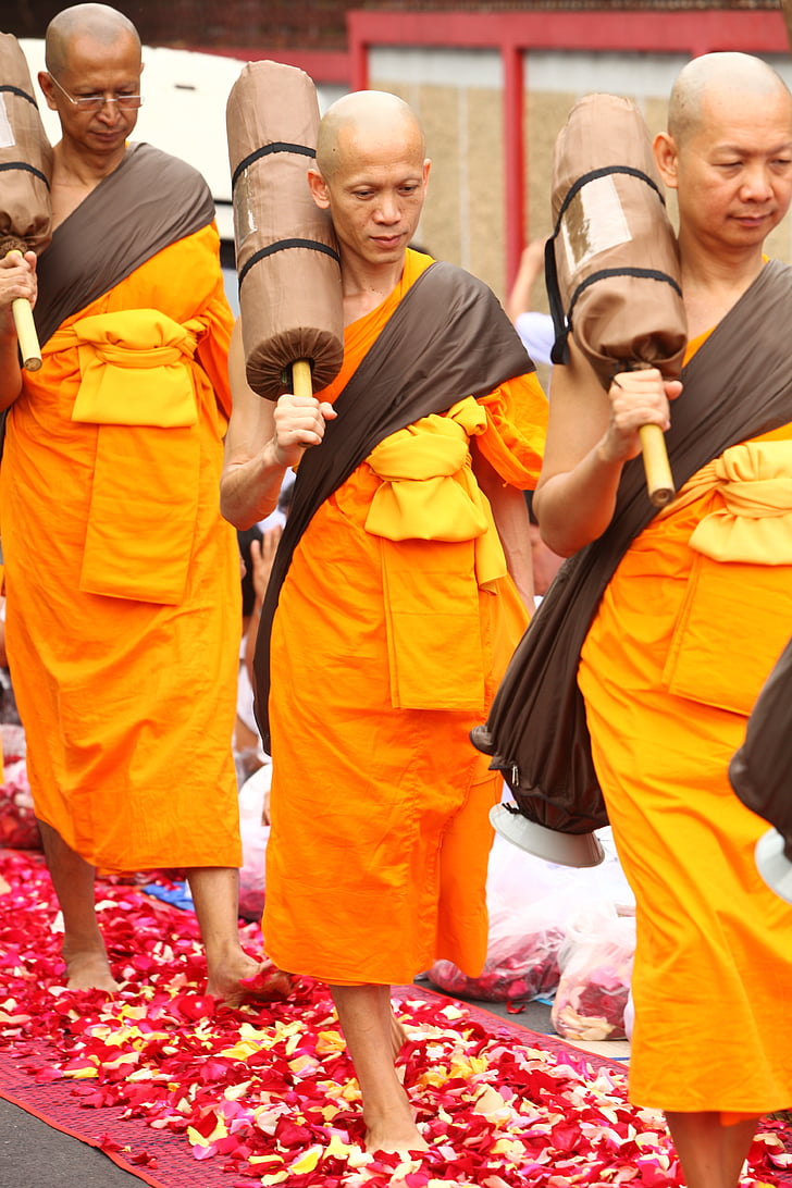 menih, budistični, meditirati, tradicijo, slovesnosti, oranžna, plašč