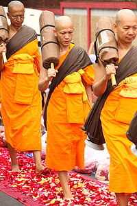 monge, budista, meditar, tradição, cerimônia de, laranja, roupão