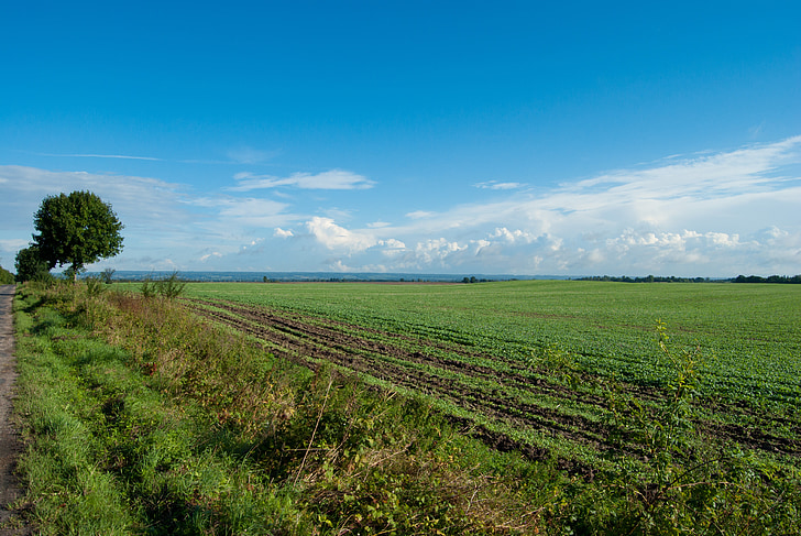 pole, mraky, krajina, zemědělství, Příroda, v lůně Titánů, farma