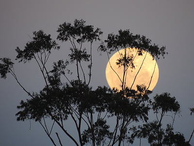 Austrália, mesiac v splne, lunárny