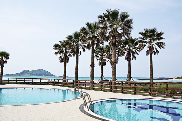 Beach, pool, rejse, Southland, ikke-omsættelighed, Jeju island, rekreativt område