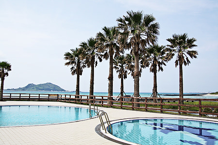 spiaggia, piscina, Viaggi, Southland, non trasferibilità, Isola di Jeju, area ricreativa