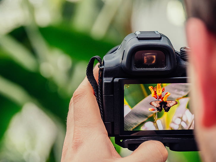 lidé, muž, obrázek, fotoaparát, Fotografie, Detailní záběr, makro