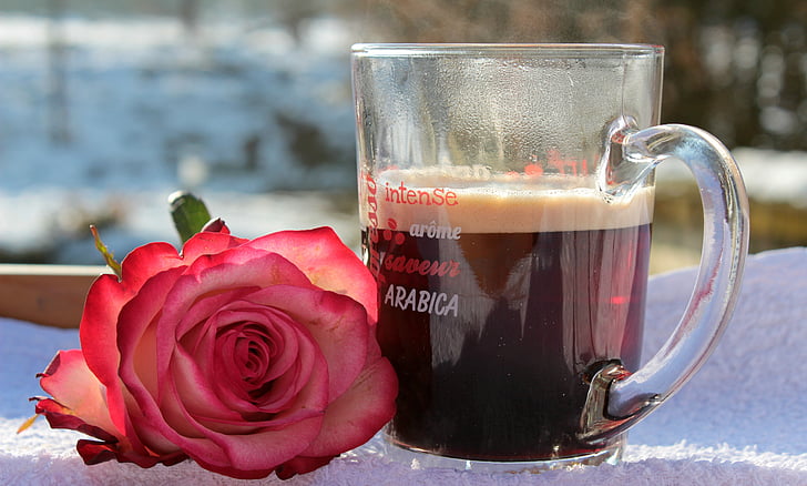 coffee cup, coffee, good morning, drink, caffeine, aromatic, rose