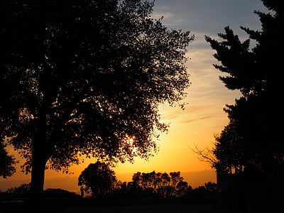õhtupäike, Afterglow, taevas, puu, romantiline, Sunset, loodus